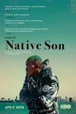 Постер фильма: Сын Америки / Родной сын