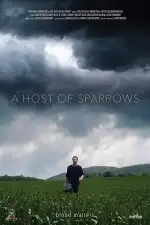 Постер фильма «Воробьиное воинство»
