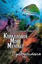 Грёзы Кораллового моря: Пробуждение