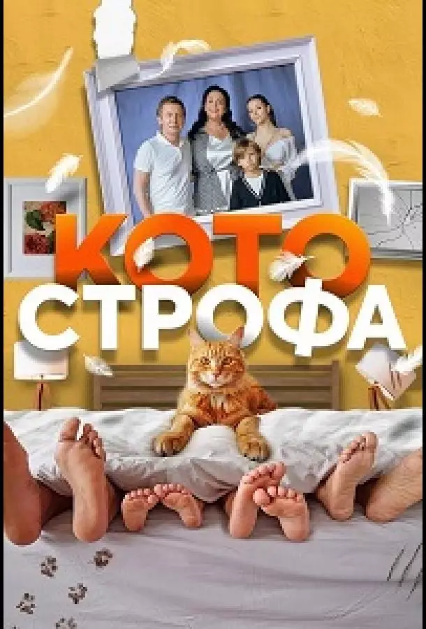 Котострофа