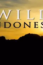 Дикая Индонезия