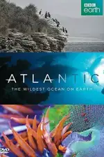 Атлантика: Самый необузданный океан на Земле