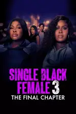 Одинокая темнокожая женщина: Последняя глава