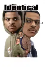 Идентичные