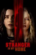 Незнакомец в моем доме