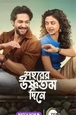 Студенческий роман