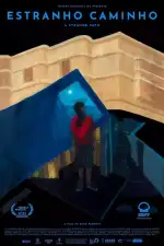 Странный путь