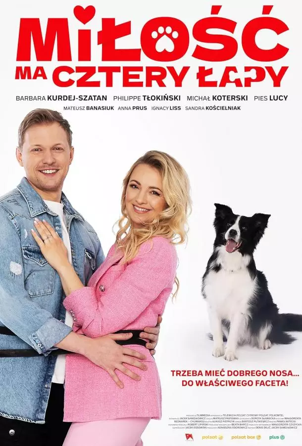 У любви четыре лапы