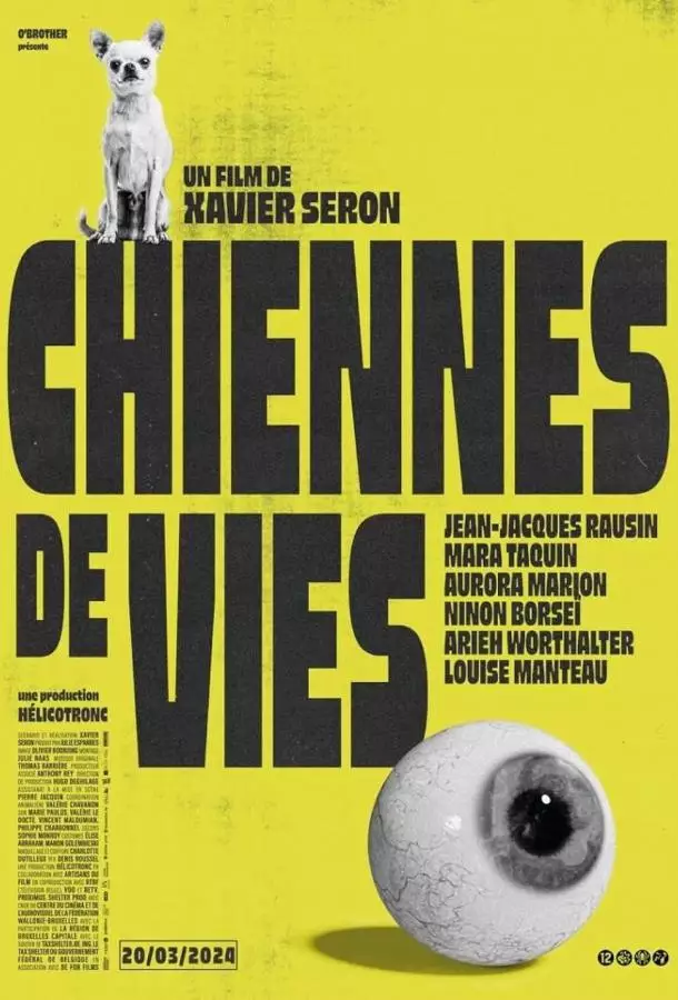 Жизнь - сука