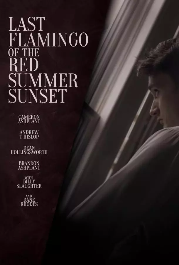 Последний фламинго красного летнего заката