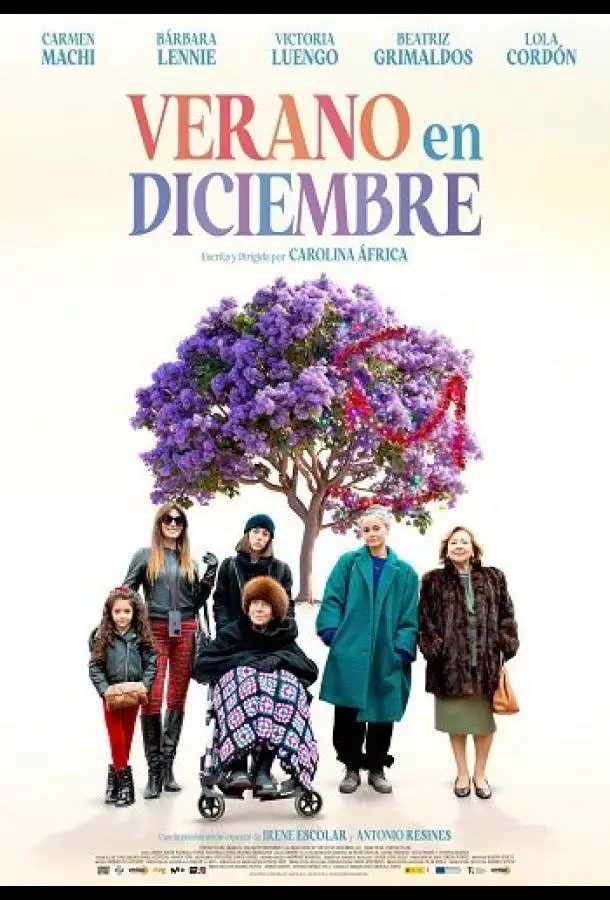 Лето в декабре