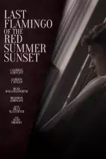 Последний фламинго красного летнего заката