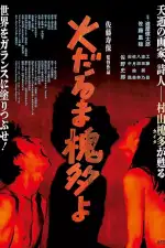 Дорогой Пылающий Кайто