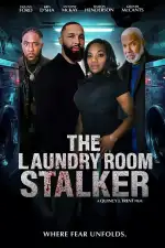 Сталкер из прачечной