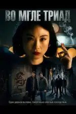 Постер фильма: Во мгле триад
