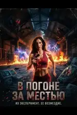 Постер фильма: В погоне за местью