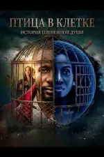 Постер фильма: Птица в клетке